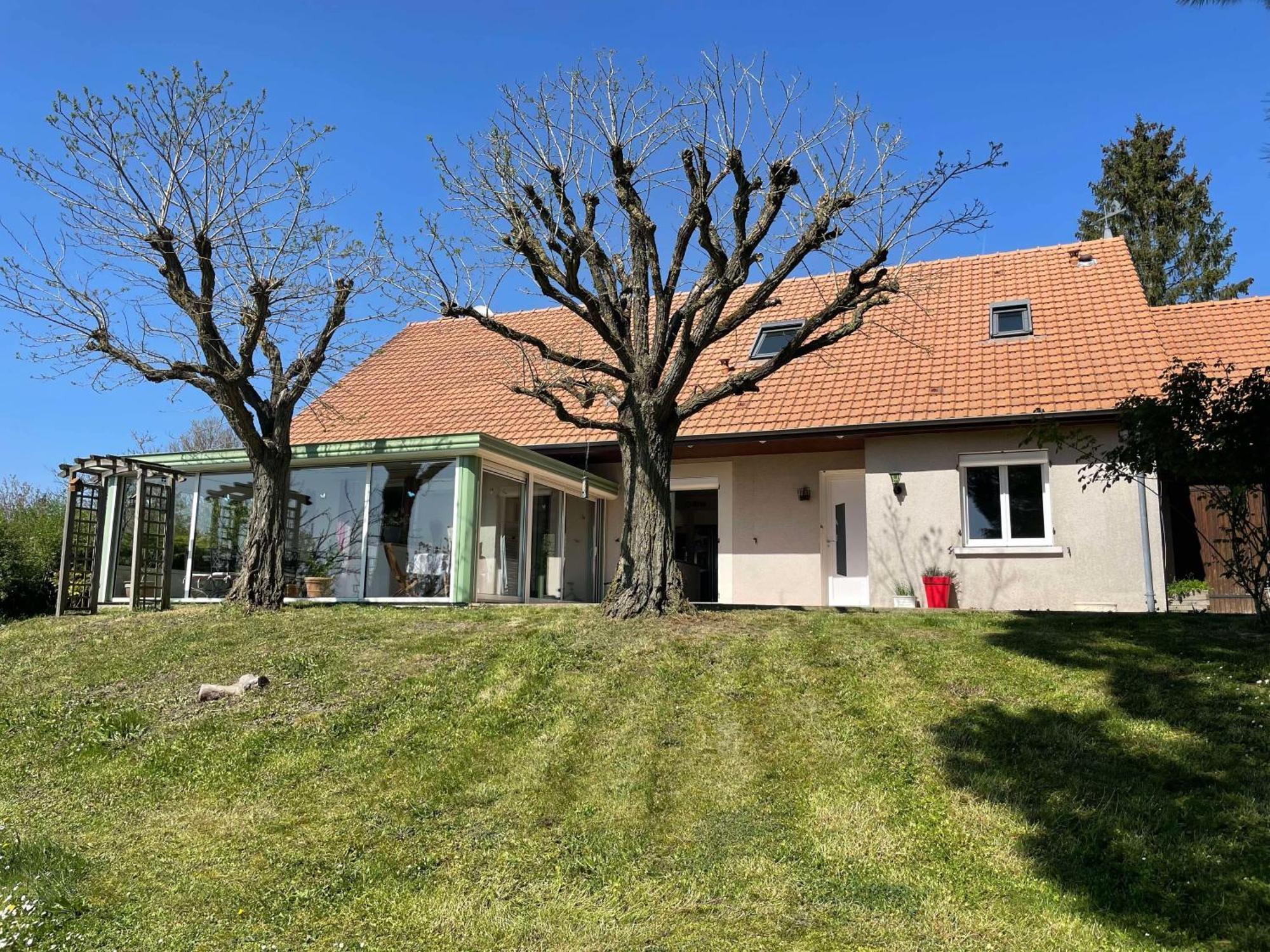 Des Roux Et Des Pious Suite De 35 A 60 M2 Et 3 Chambres Pour Groupe De 2 A 6 Personnes Civray-de-Touraine Extérieur photo