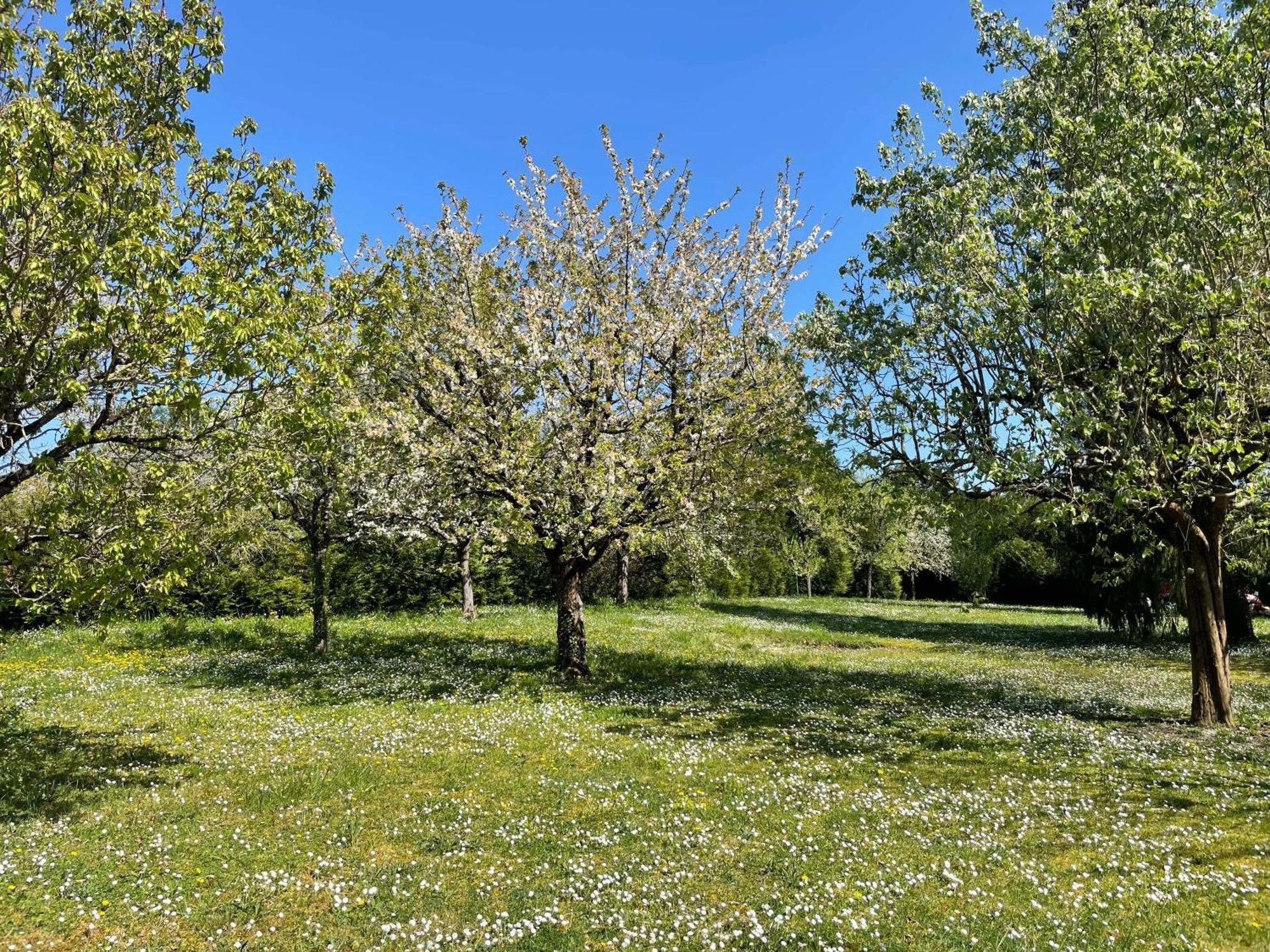 Des Roux Et Des Pious Suite De 35 A 60 M2 Et 3 Chambres Pour Groupe De 2 A 6 Personnes Civray-de-Touraine Extérieur photo